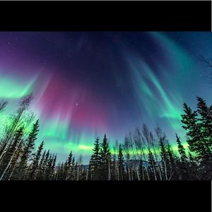 Meet your Posher, Marc